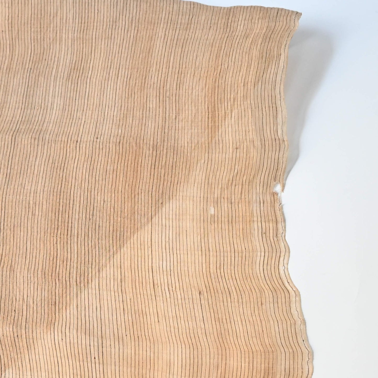 Close-up view of vintage collectable bashofu banana fibre textile, natural fine stripe pattern.