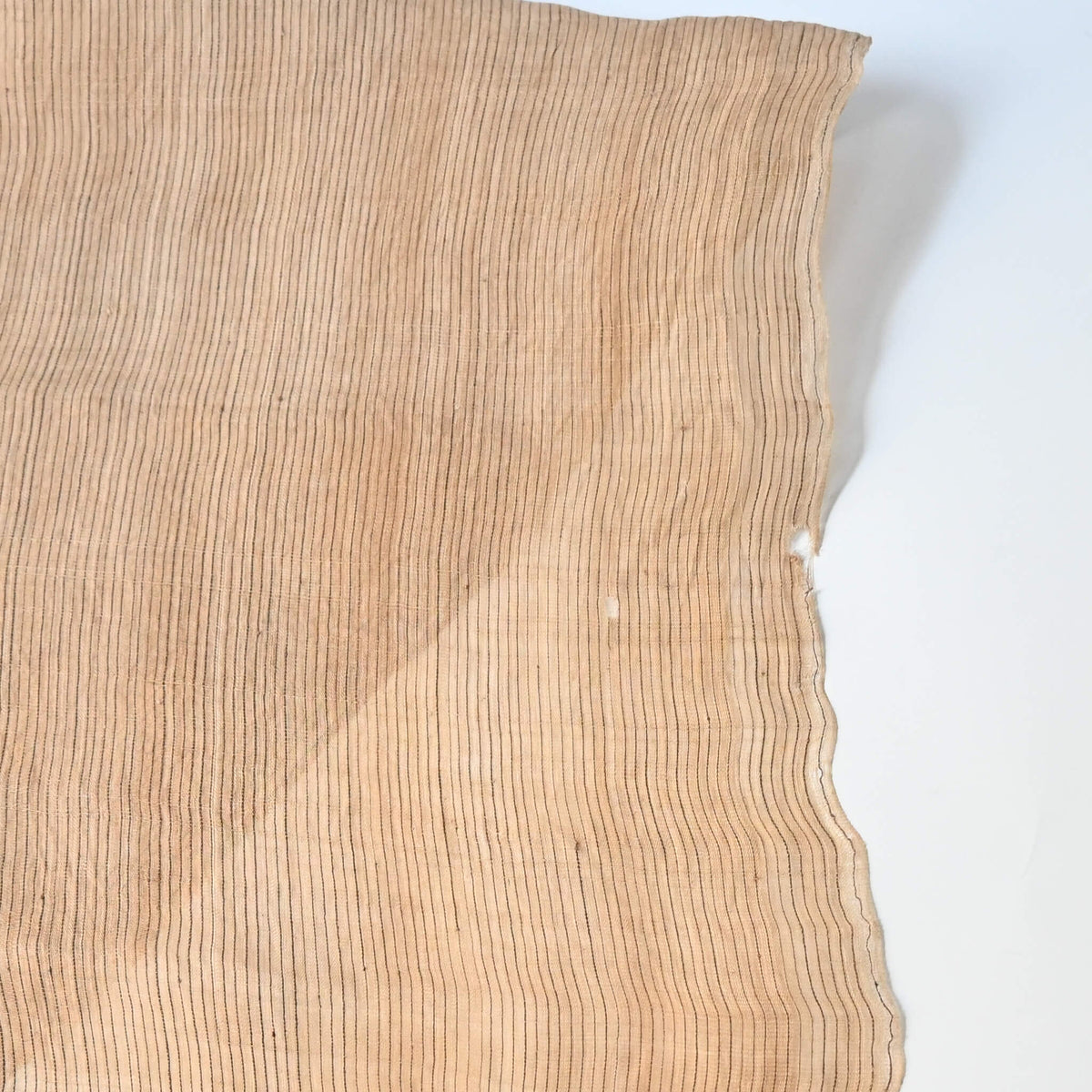 Close-up view of vintage collectable bashofu banana fibre textile, natural fine stripe pattern.
